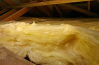 Workhouse Common pitch roof insulation